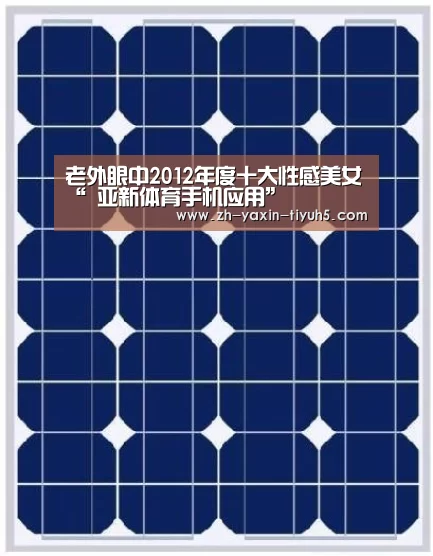 老外眼中2012年度十大性感美女“ 亚新体育手机应用”(图2) 亚新体育手机应用