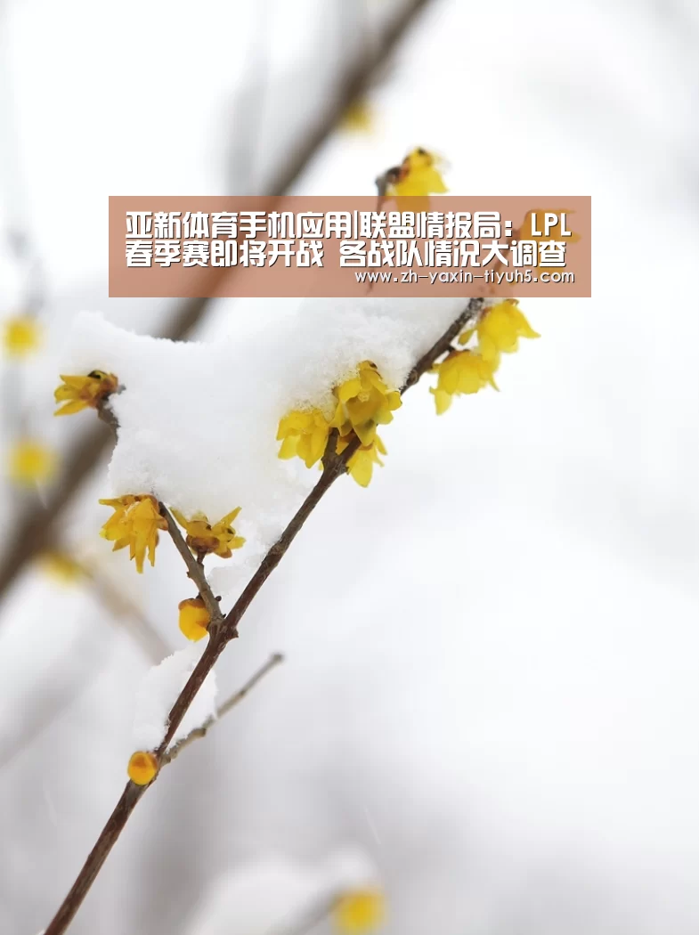 亚新体育手机应用|联盟情报局:LPL春季赛即将开战 各战队情况大调查(图3) 亚新体育App下载