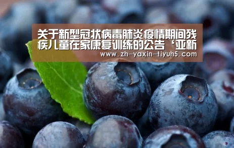 亚新体育App下载